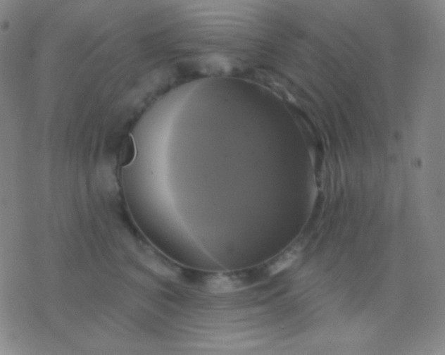 X0000076380616200610202041