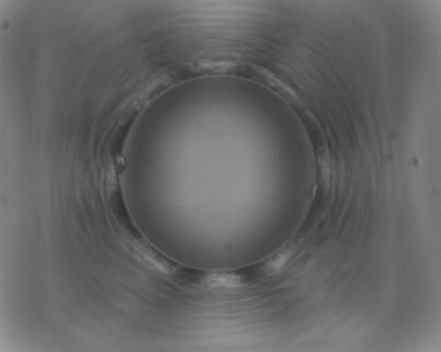 X0000076380617200610202041