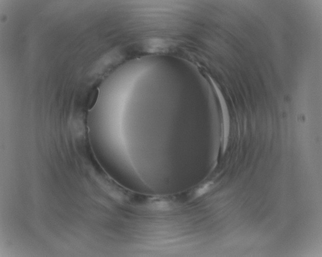 X0000076380620200610202041