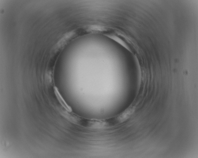 X0000076380621200610202041