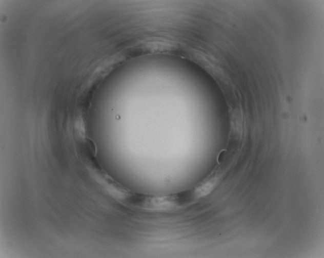 X0000076380622200610202041