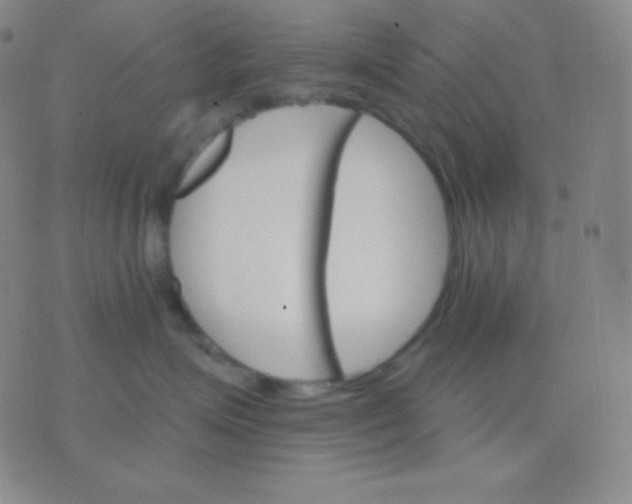 X0000076380623200610202041