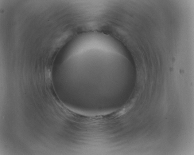 X0000076380624200610202041