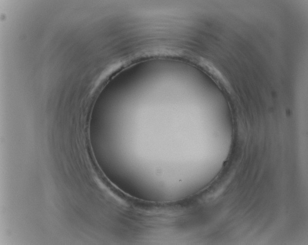 X0000076380625200610202040