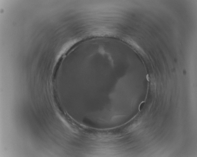 X0000076380626200610202040