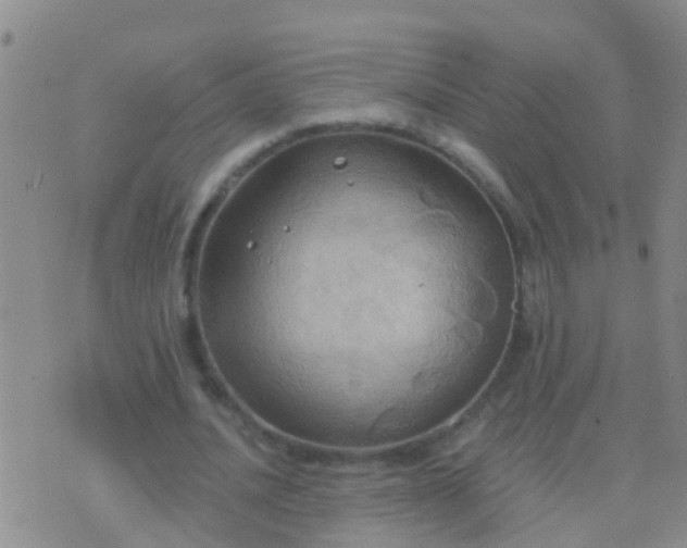 X0000076380628200610202040