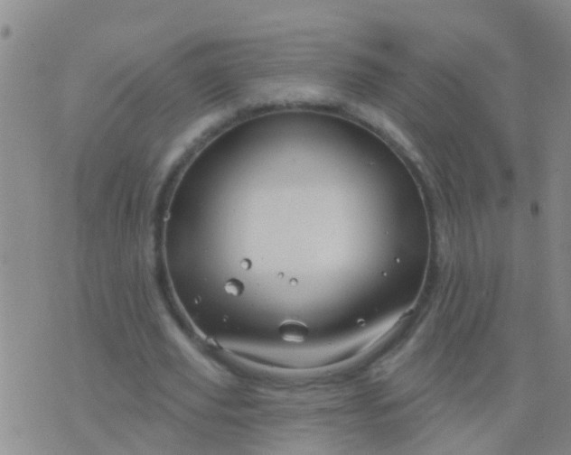 X0000076380629200610202040