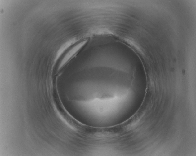 X0000076380630200610202040