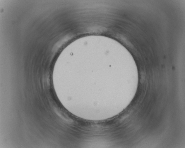 X0000076380632200610202040