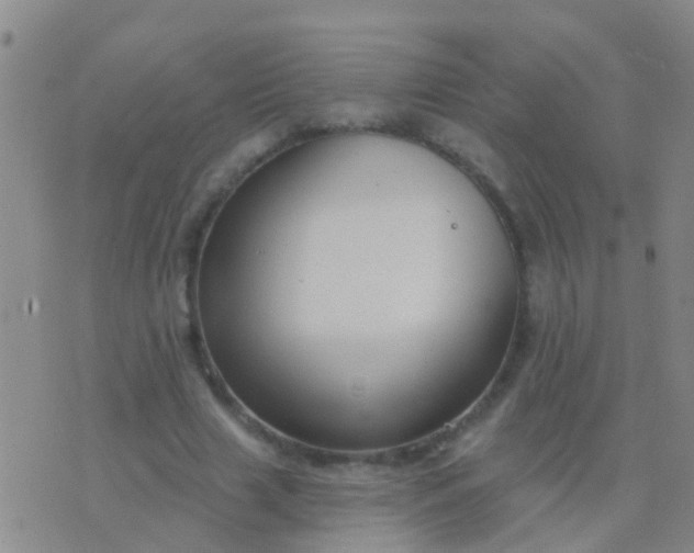 X0000076380633200610202040