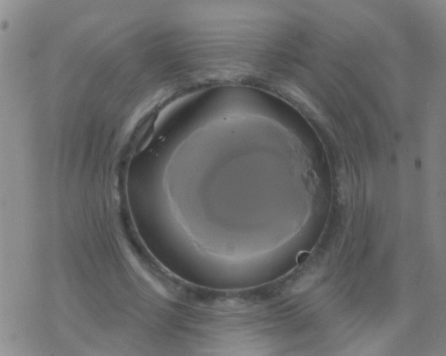 X0000076380634200610202040