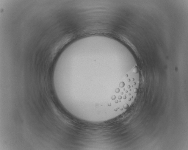 X0000076380635200610202040