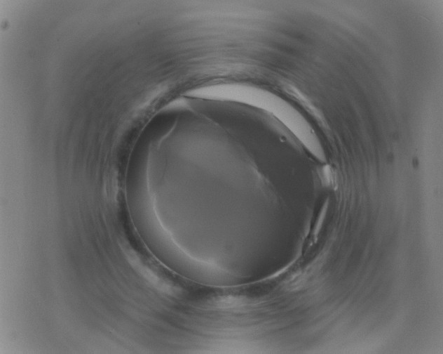 X0000076380637200610202040