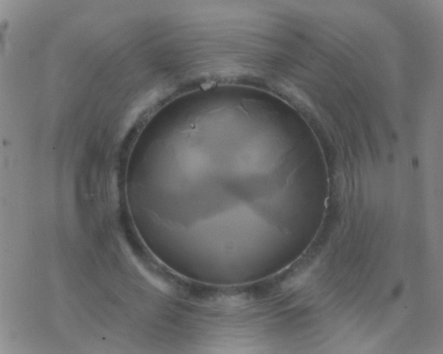 X0000076380638200610202040