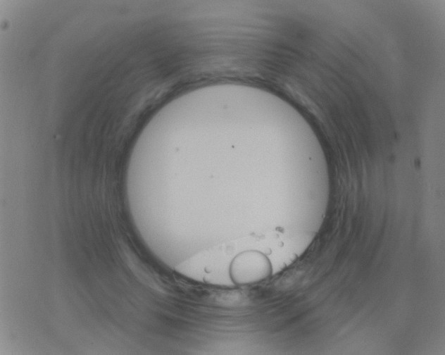 X0000076380639200610202040