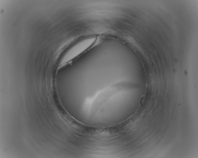 X0000076380640200610202040