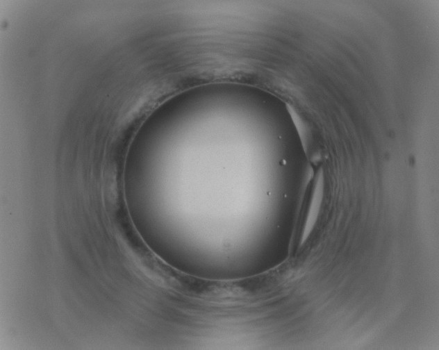 X0000076380642200610202040