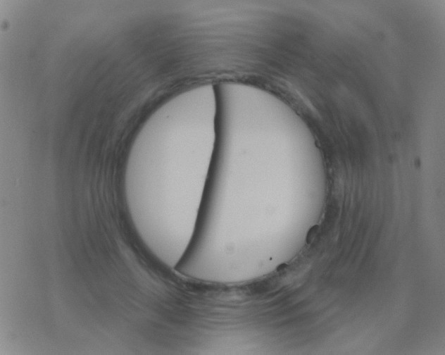 X0000076380643200610202040