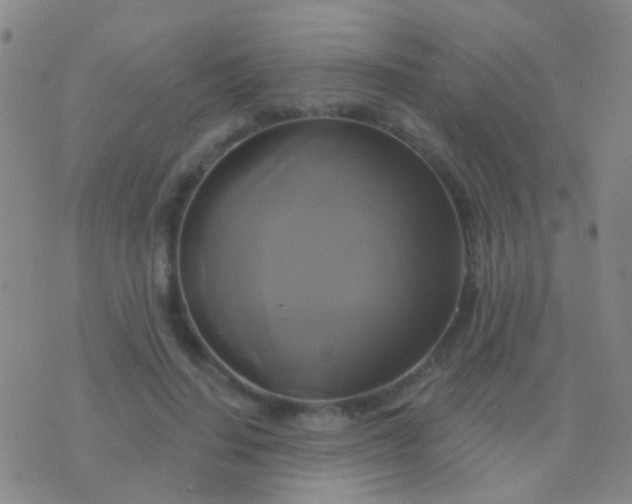 X0000076380644200610202040