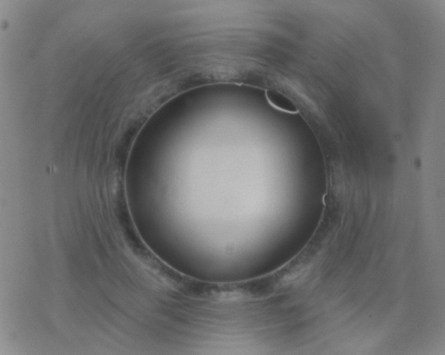 X0000076380645200610202040