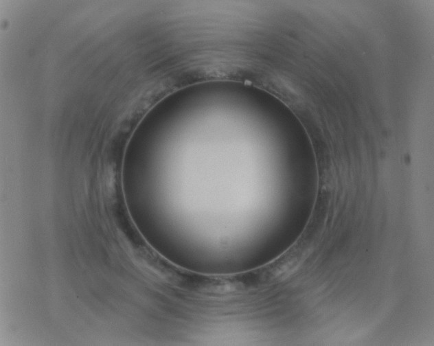 X0000076380646200610202040