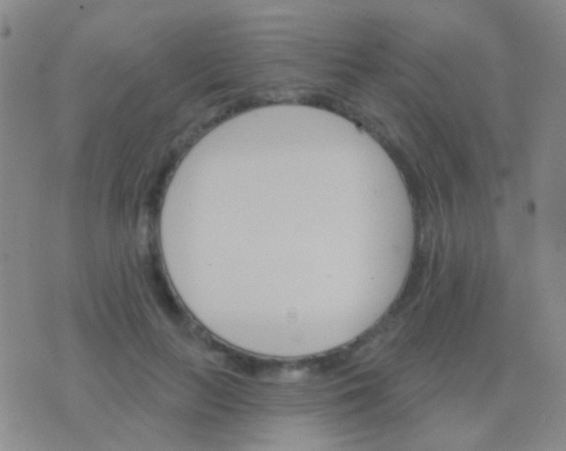 X0000076380647200610202040