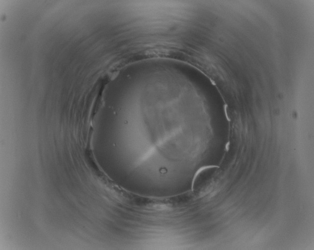 X0000076380649200610202040