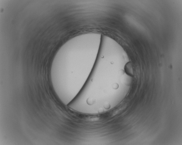 X0000076380651200610202040