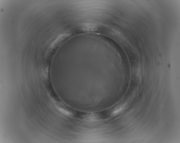 X0000076380652200610202040