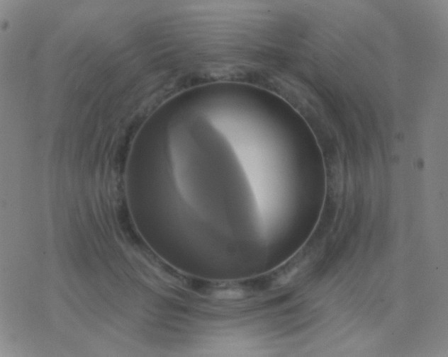 X0000076380653200610202040