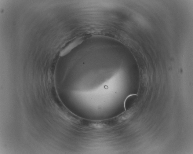 X0000076380654200610202040