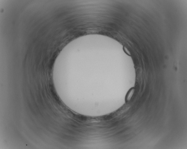 X0000076380655200610202040