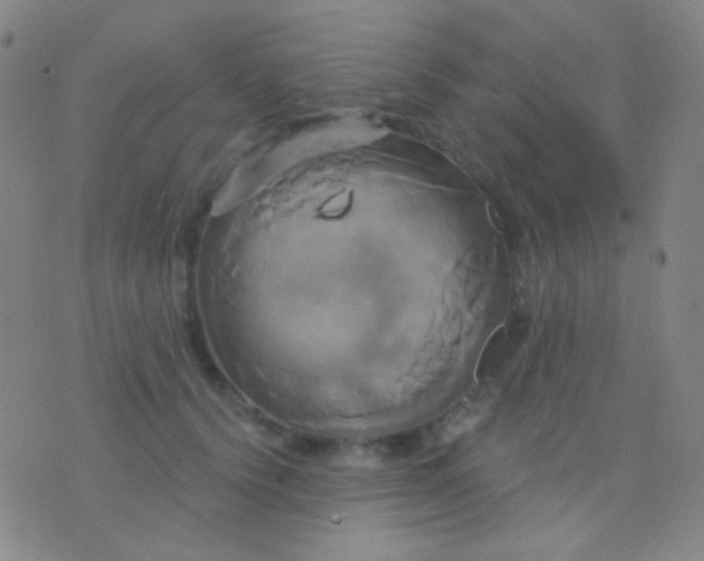 X0000076380656200610202040