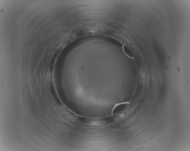 X0000076380657200610202040