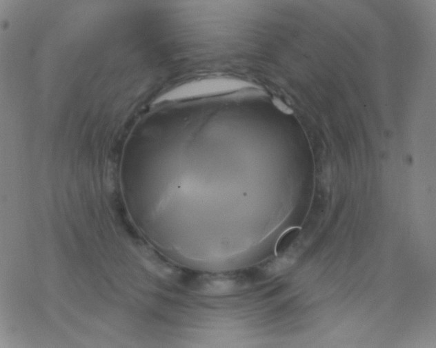 X0000076380658200610202040