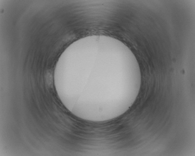 X0000076380659200610202040