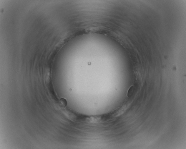 X0000076380660200610202040