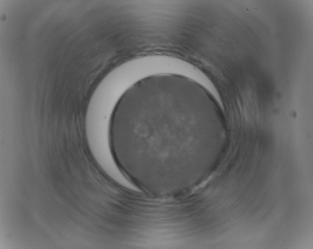 X0000076380661200610202040