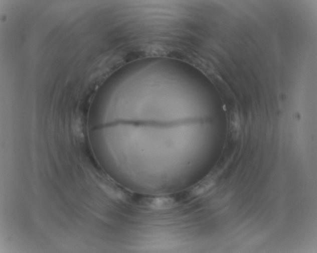 X0000076380663200610202041