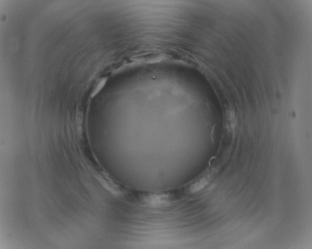 X0000076380664200610202041