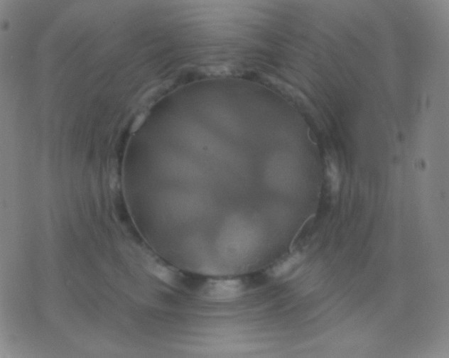 X0000076380665200610202041