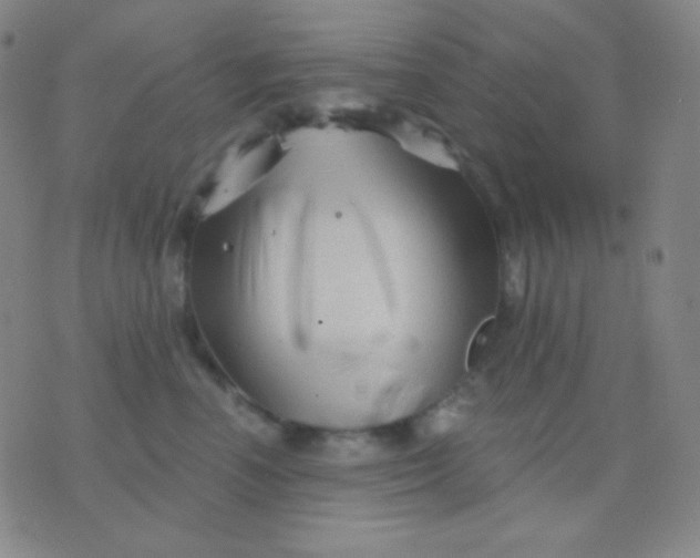 X0000076380666200610202041