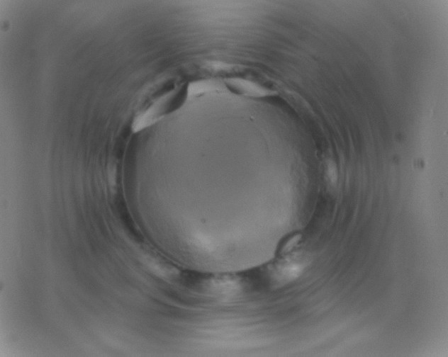 X0000076380668200610202041