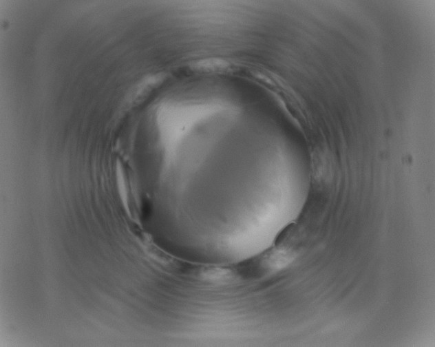 X0000076380669200610202041