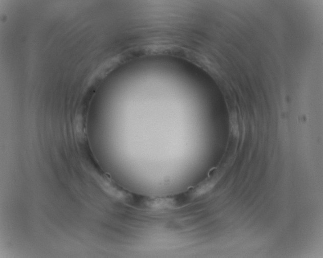 X0000076380670200610202041