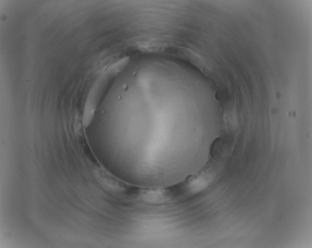 X0000076380671200610202041