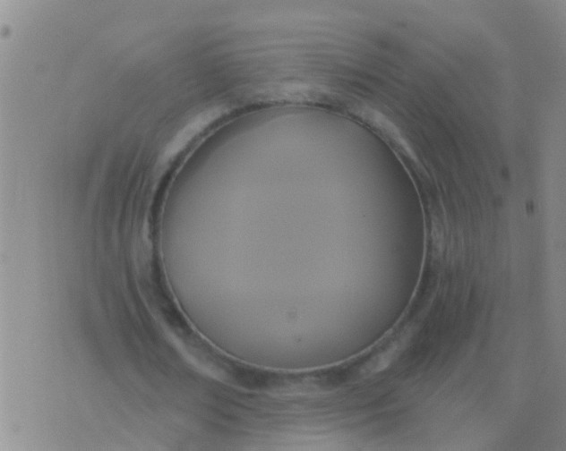 X0000076380674200610202040