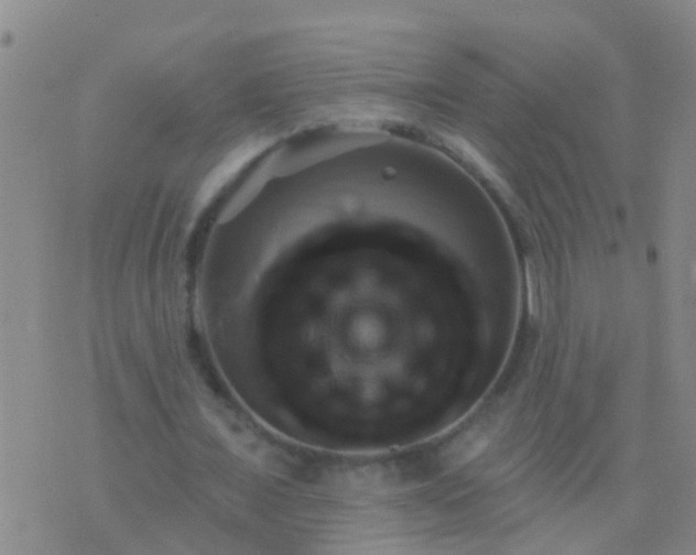 X0000076380675200610202040