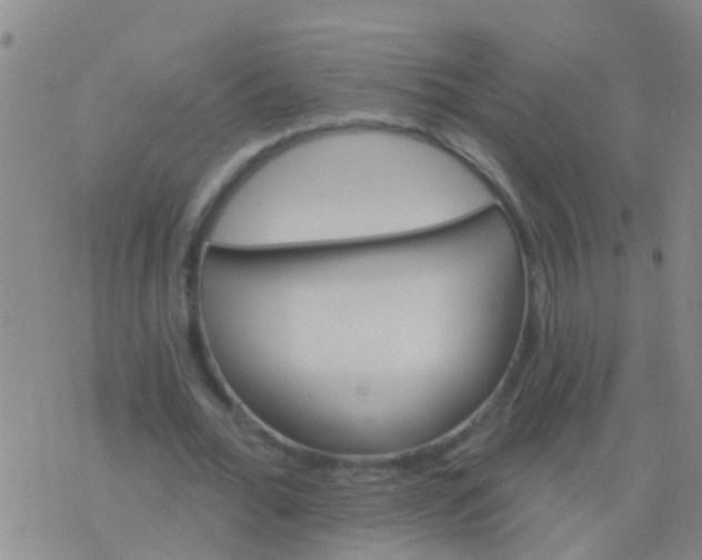 X0000076380676200610202040