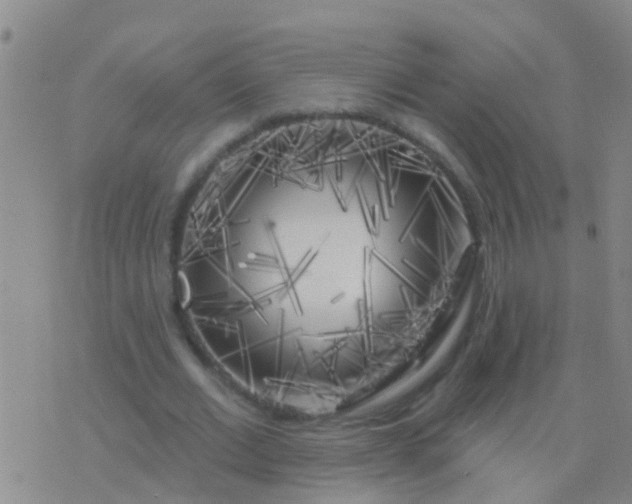 X0000076380677200610202040